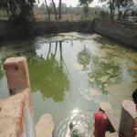 Vraj-Yatra-2014- (2508)